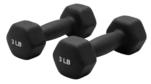 A pair of small hand weights
